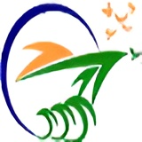 Anline Shipping Pvt. Ltd. Logo