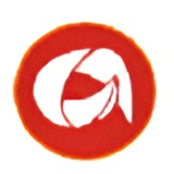 Auburn Ship Management Logo