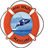 Blue Whale Maritime Logo