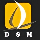 Deewine Ship Management Pvt Ltd Logo