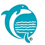 Dolphin Octopus Marine Services Logo